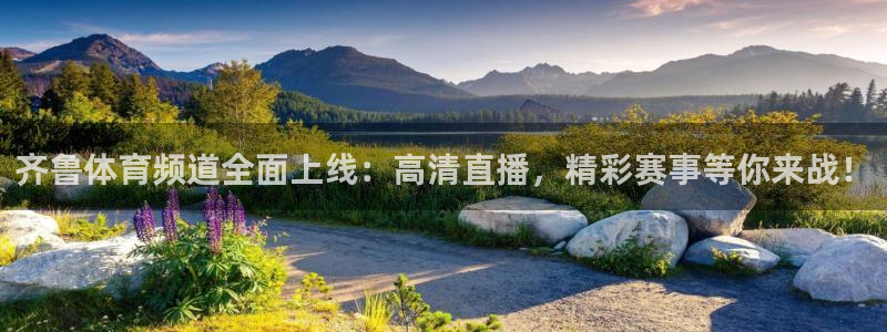 黑白直播体育app官网：齐鲁体育频道全面上线：高清直播，精彩赛事等你来战！