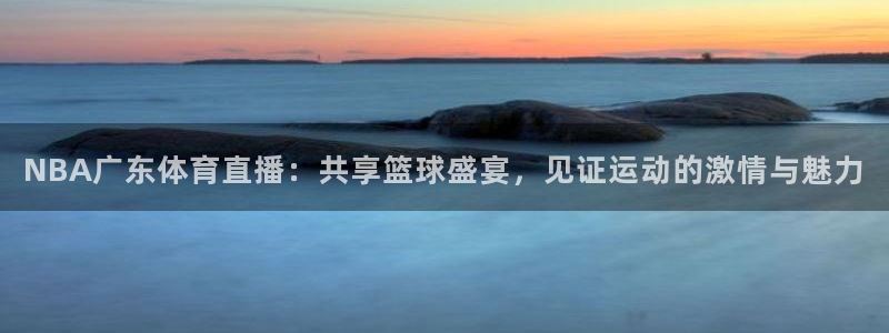 黑白直播nba免费观看下载篮球：NBA广东体育直播：共享篮球盛宴，见证运动的激情与魅力