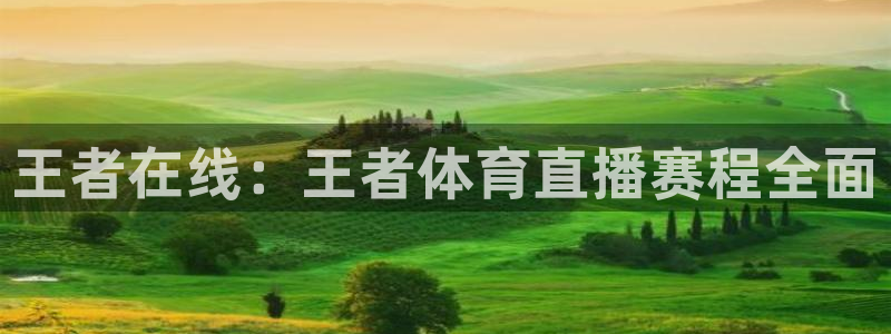 黑白直播旧版本：王者在线：王者体育直播赛程全面