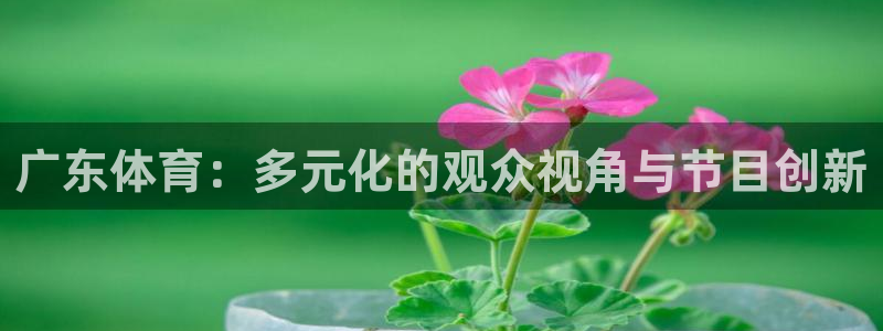 黑白直播官方免费下载：广东体育：多元化的观众视角与节目创新