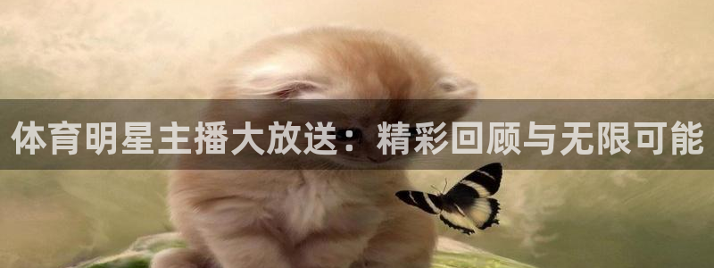 黑白直播nba免费观看：体育明星主播大放送：精彩回顾与无限可能
