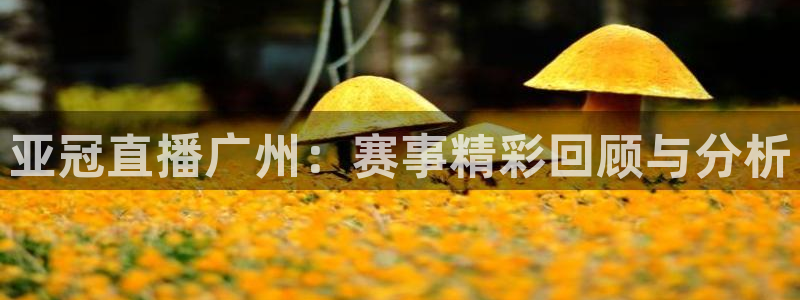 黑白直播免费体育直播：亚冠直播广州：赛事精彩回顾与分析