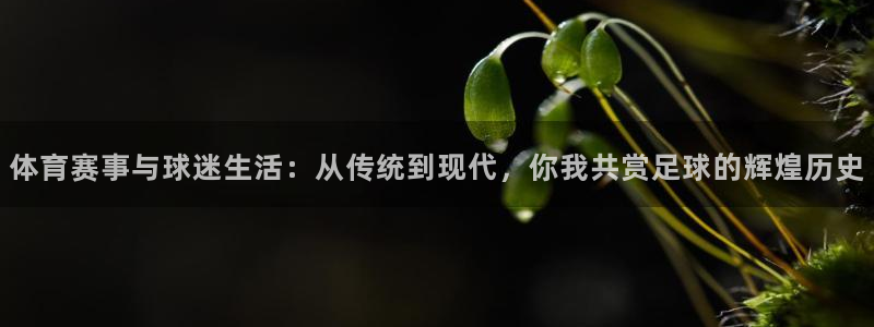 黑白直播官网：体育赛事与球迷生活：从传统到现代，你我共赏足球的辉煌历史