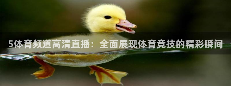 黑白直播足球直播免费观看网站：5体育频道高清直播：全面展现体育竞技的精彩瞬间
