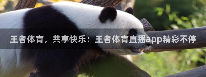黑白直播体育：王者体育，共享快乐：王者体育直播app精彩不停