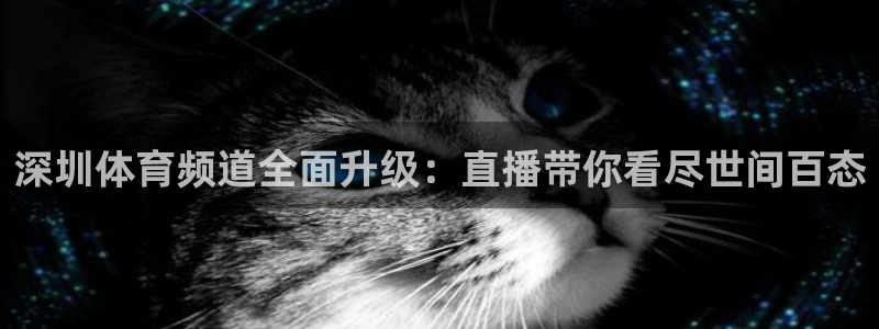 nba直播在线观看黑白直播：深圳体育频道全面升级：直播带你看尽世间百态