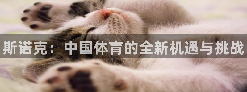 黑白直播旧版安卓版下载：斯诺克：中国体育的全新机遇与挑战