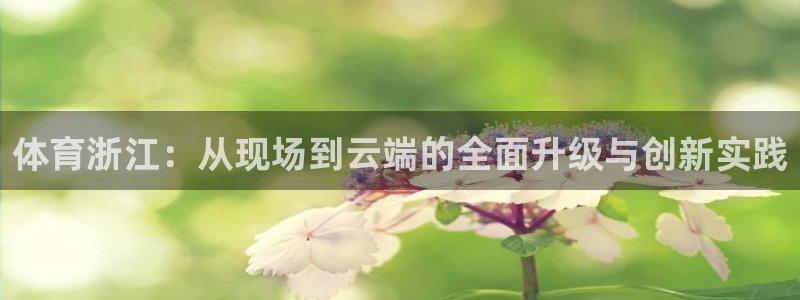 黑白直播体育app官网：体育浙江：从现场到云端的全面升级与创新实践