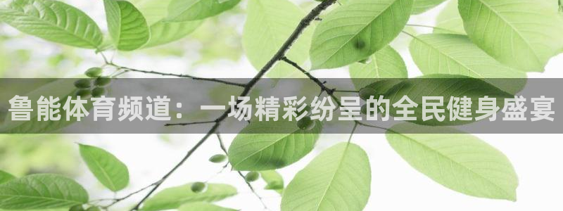黑白直播足球直播英超直播：鲁能体育频道：一场精彩纷呈的全民健身盛宴