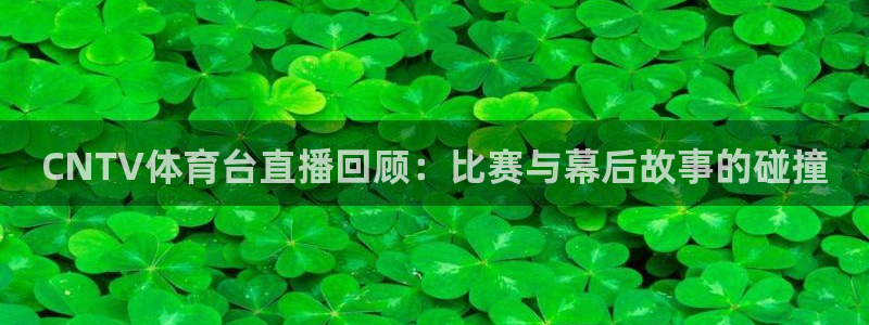 nba直播在线观看免费黑白直播：CNTV体育台直播回顾：比赛与幕后故事的碰撞