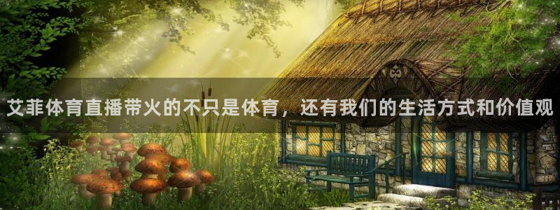 黑白直播体育免费直播在线观看：艾菲体育直播带火的不只是体育，还有我们的生活方式和价值观